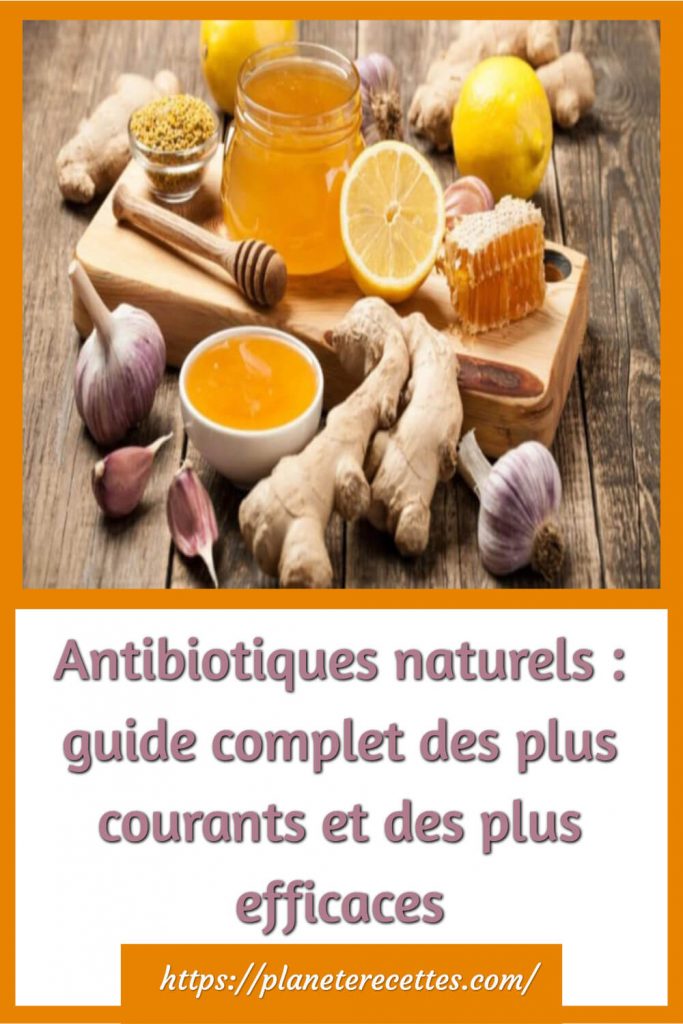 Antibiotiques naturels plus courants et efficaces
