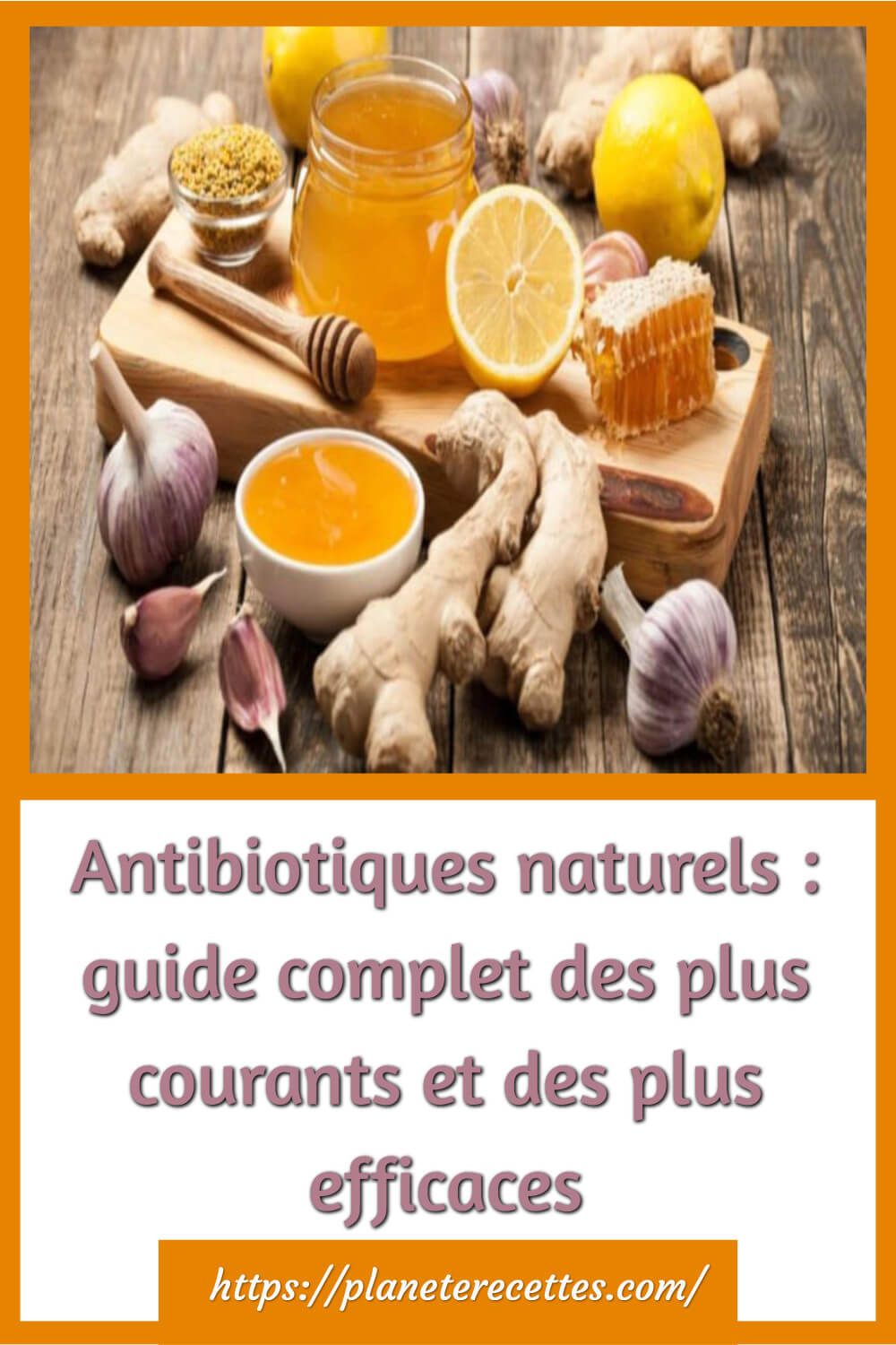 Antibiotiques naturels plus courants et efficaces Planète Recettes — free download
