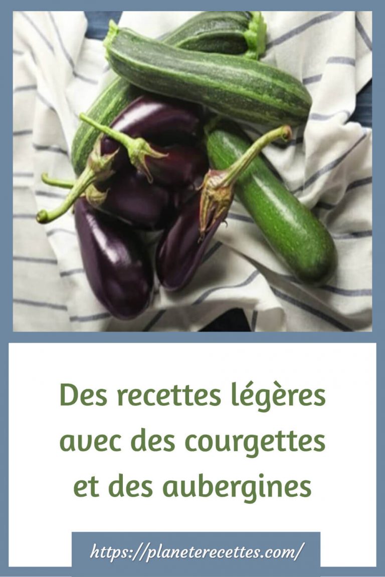 courgettes et  aubergines, de nombreuses idées savoureuses pour les plats d’été