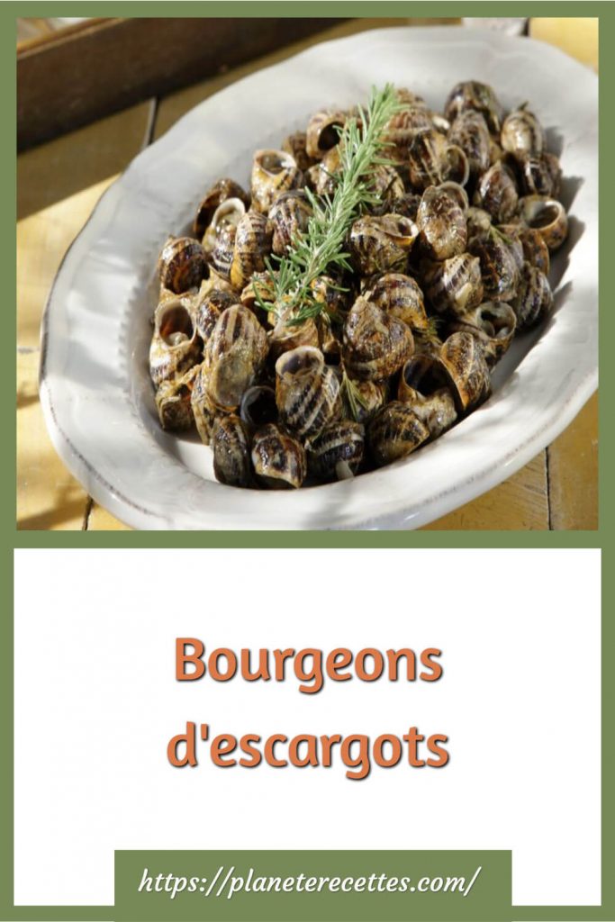 Bourgeons d'escargots